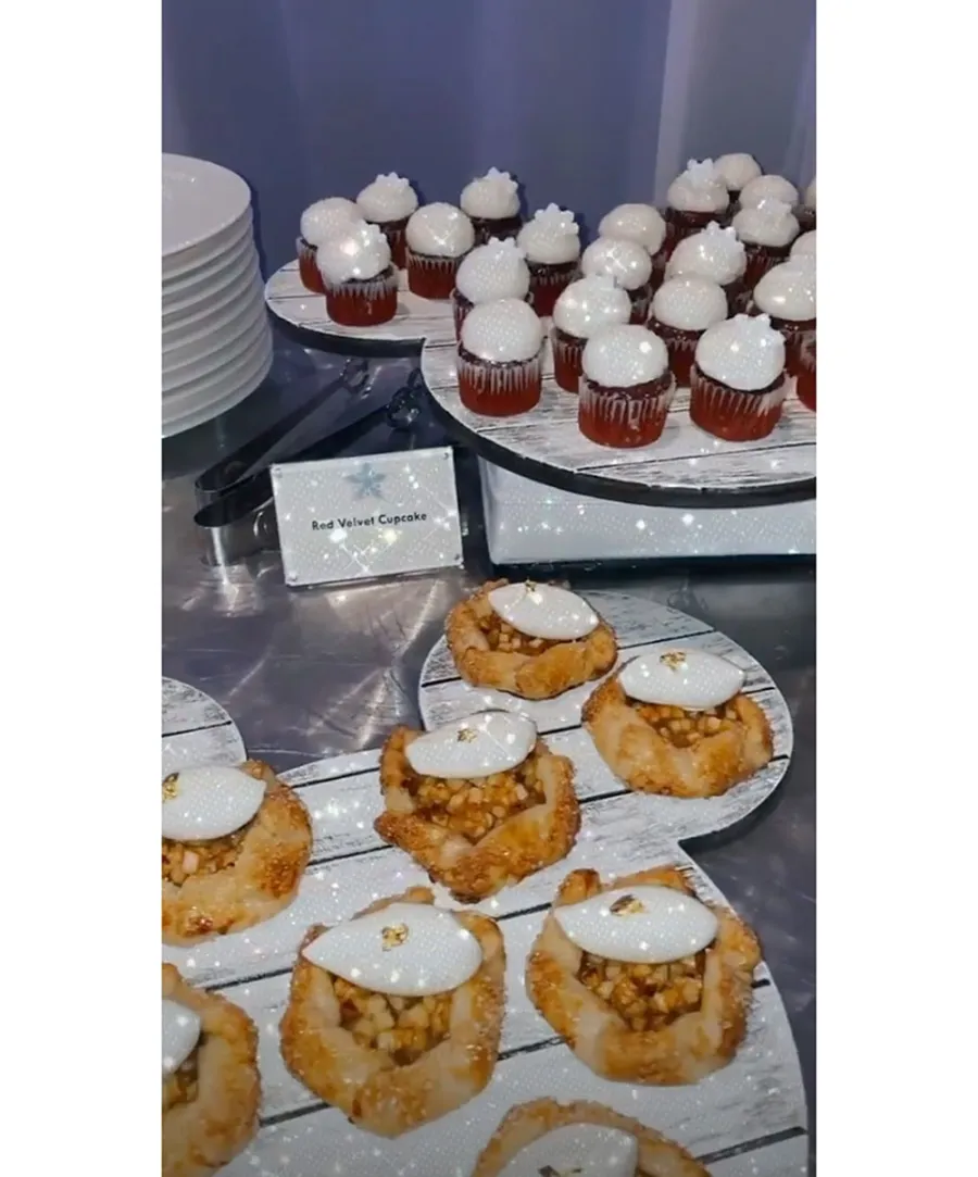 Kylie Jenner Stormi Webster Disneyland Birthday Trip