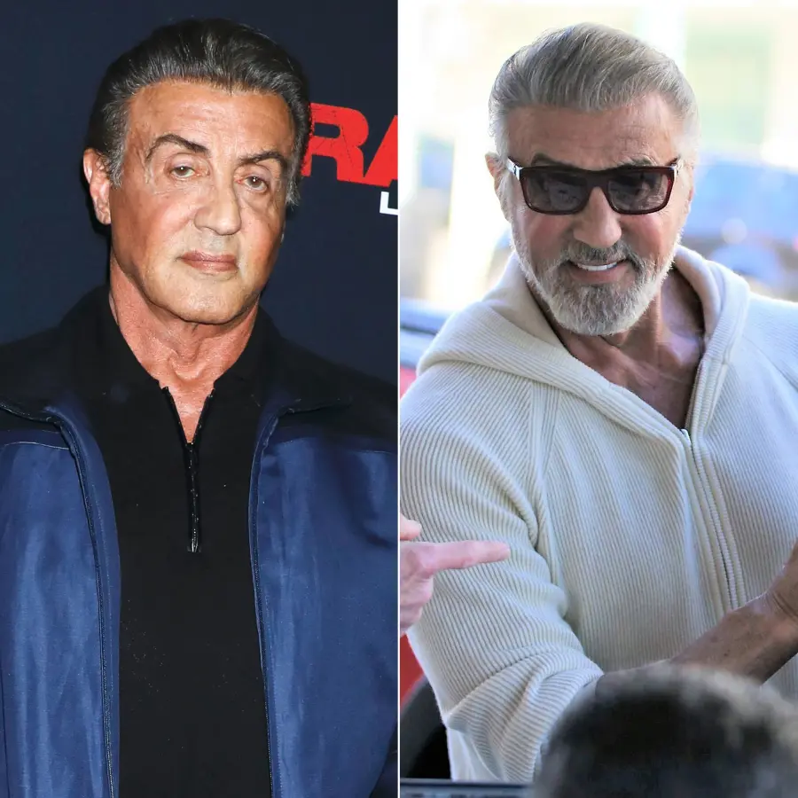 Sylvester Stallone Grey Hair Change