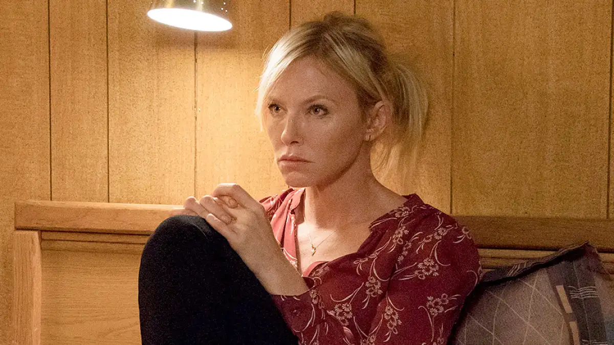 Whats Next for Law & Order SVUs Rollins After Hostage Episode