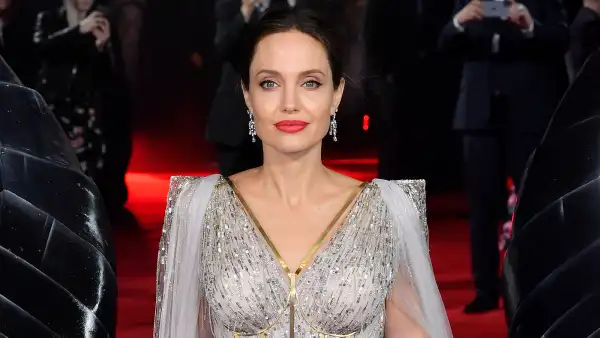 angelina jolie everlane