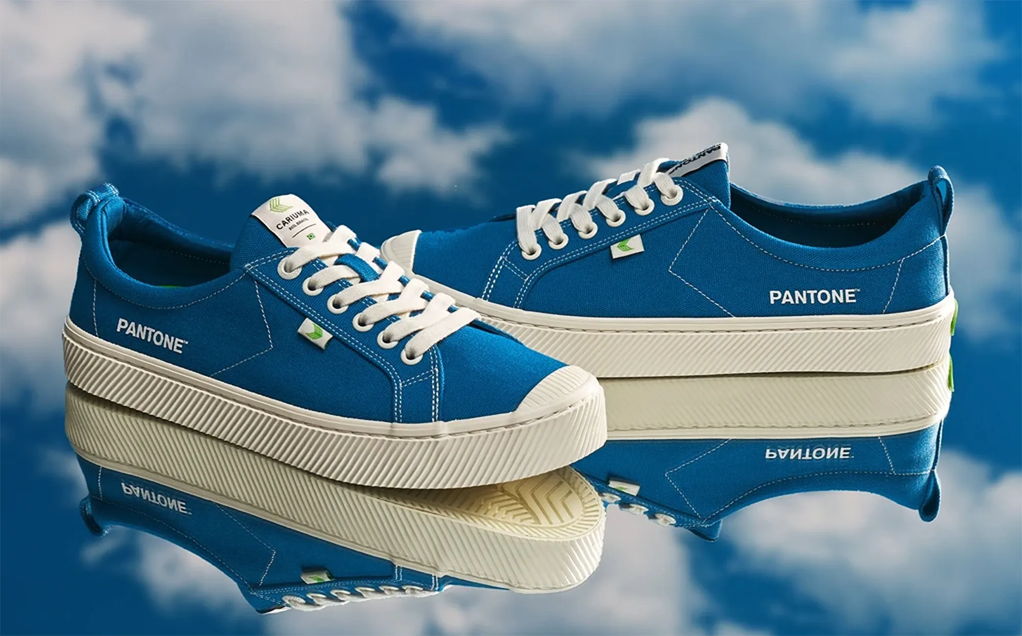 Cariuma Pantone OCA Low