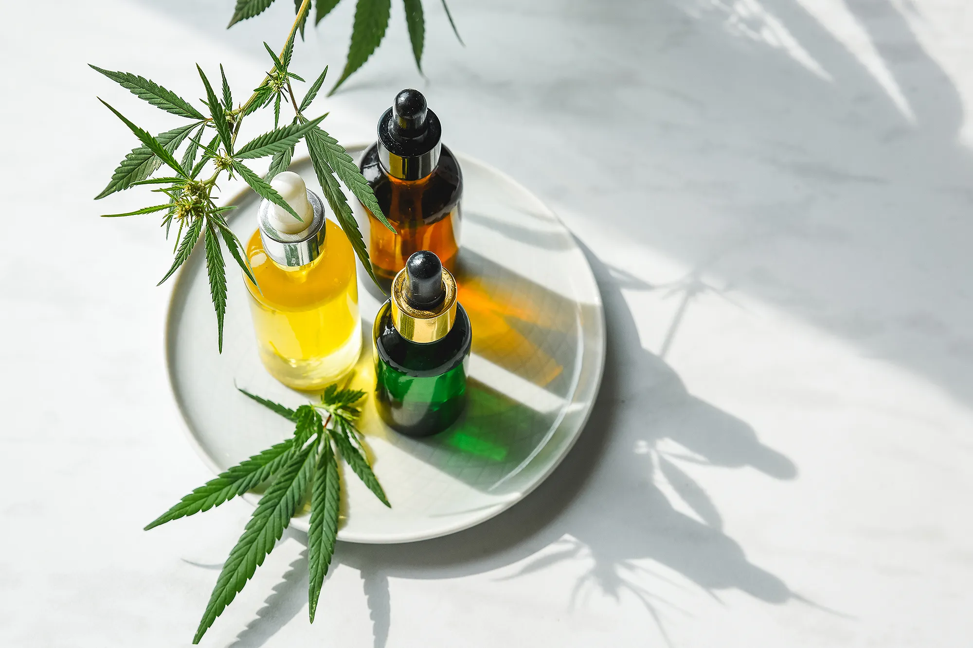 cbd-oils