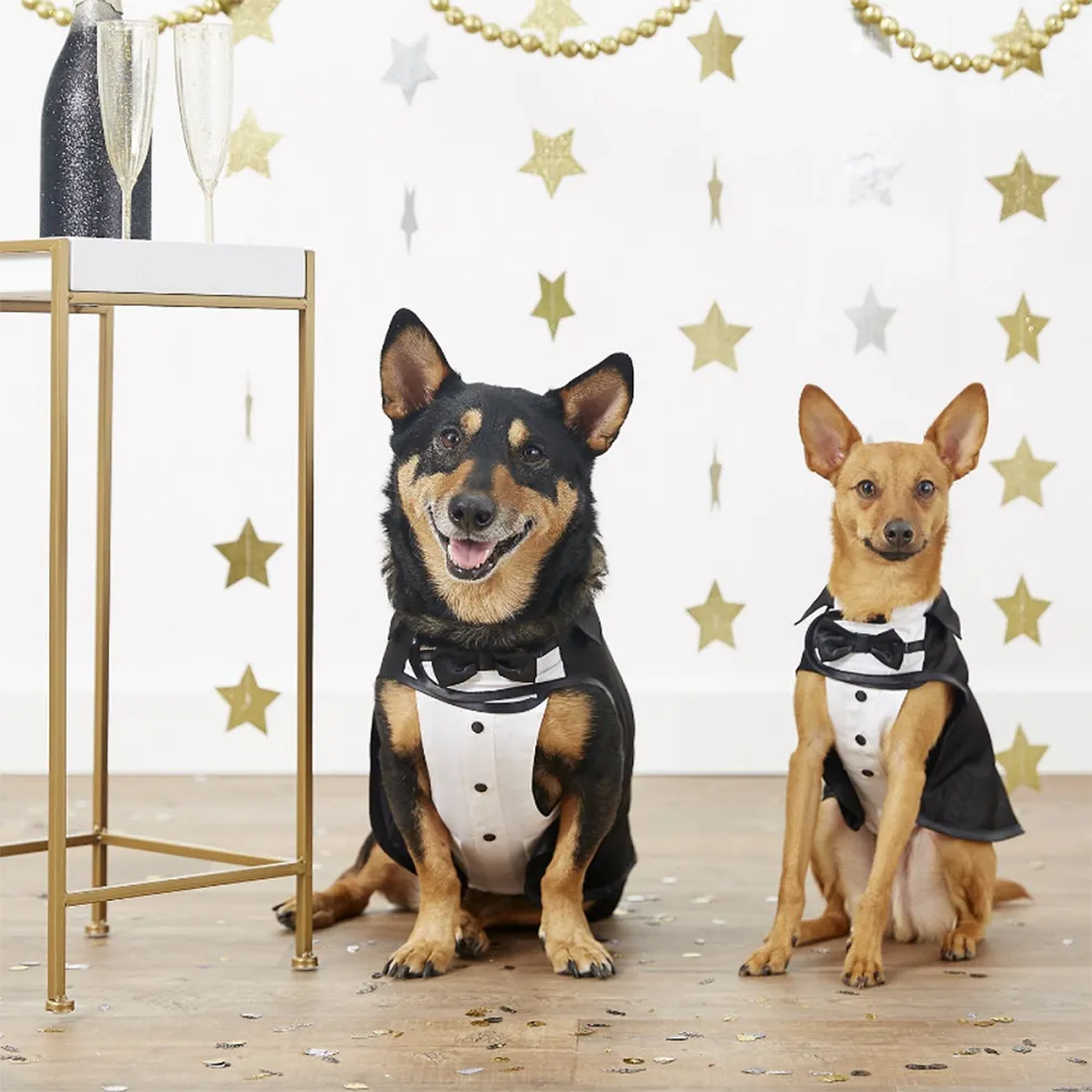 dog-tuxes