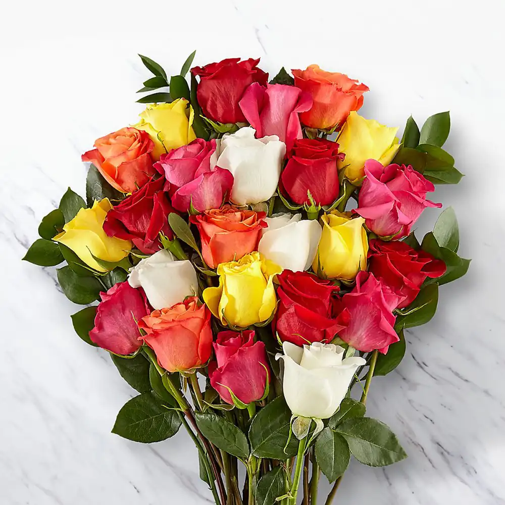 mixed-roses