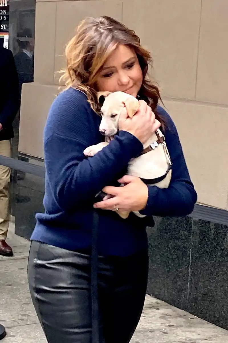 rachael ray puppy