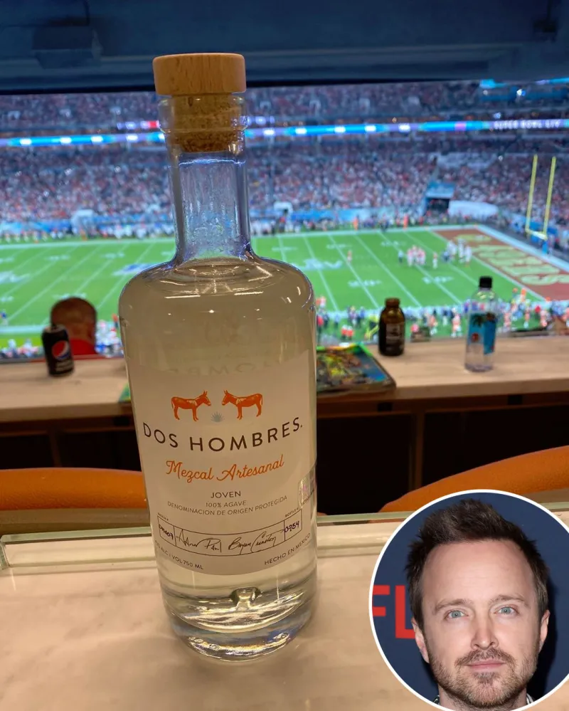 Aaron Paul Stars Share What They Ate on Super Bowl Sunday 2020