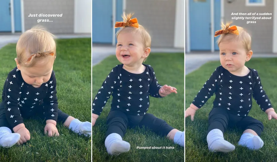 Alessi-grass-discovery