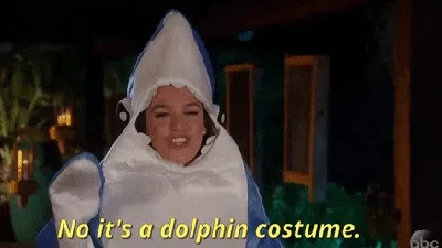 Giphy Gif Alexis Dolphin Most Viral Moments in Bachelor Nation