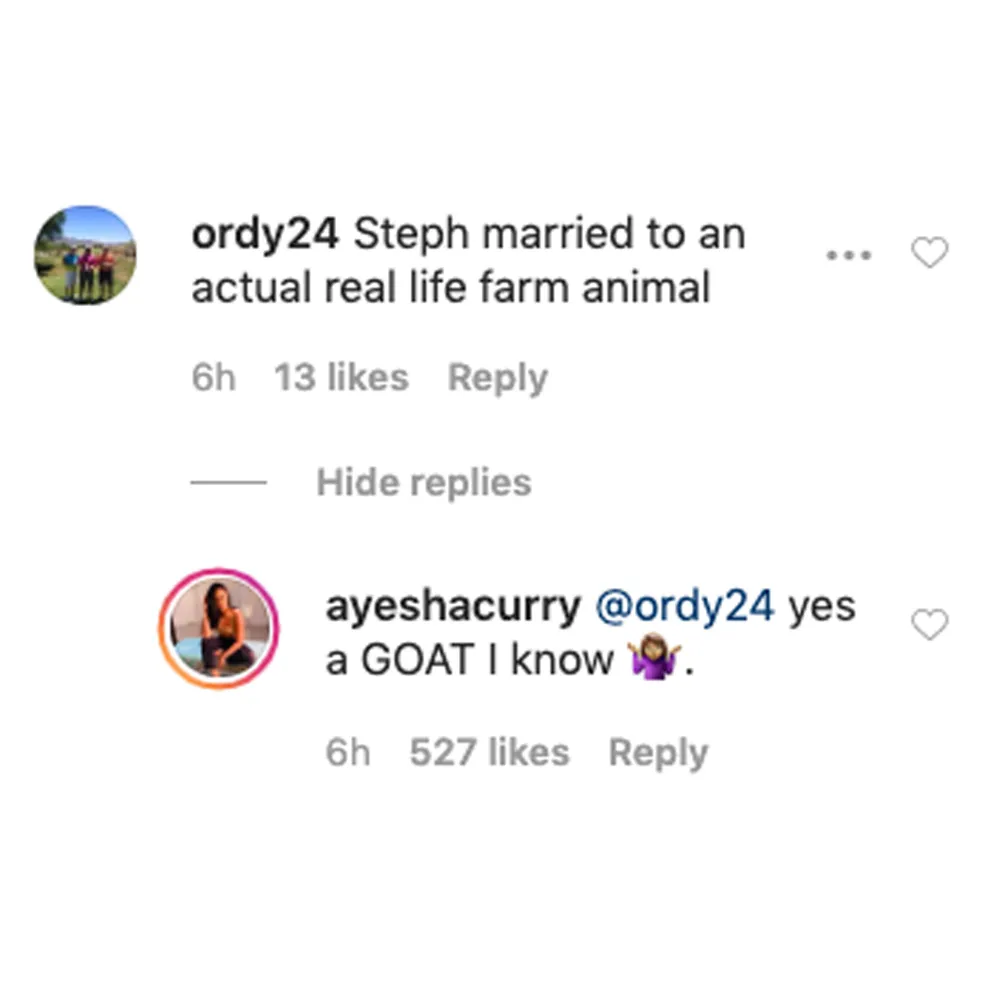 Ayesha Curry Claps Back at Troll Who Called Her a &lsquo;Farm Animal&rsquo; After Viral Photo With Stephen Curry