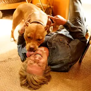 Brad Pitt Developed Bond With Once Upon a Time in Hollywood Dog