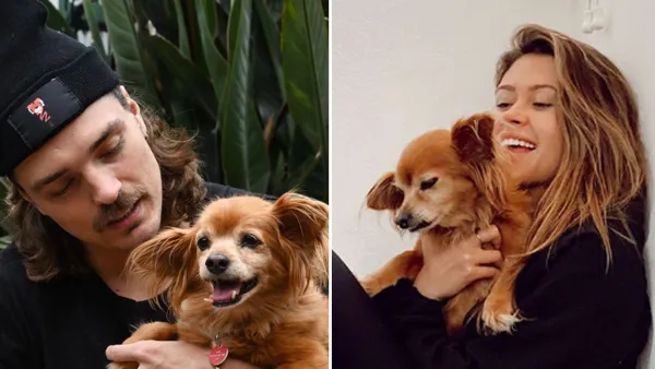 Dean Unglert and Caelynn Miller-Keyes Adopt Senior Rescue Dog Together: