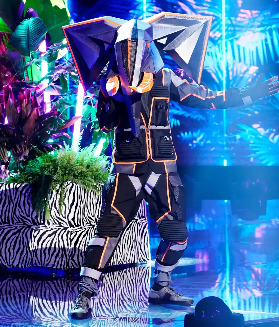 Elephant The Masked Singer