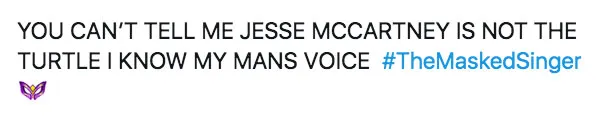 Figuring Out the Turtle The Masked Singer Lil Wayne Unmasked