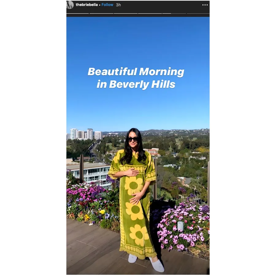 Brie Nikki Bump Fun With Florals