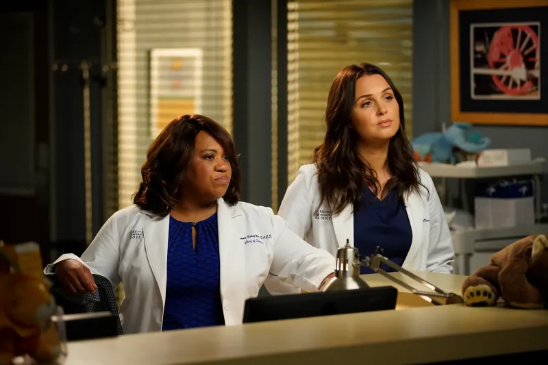 Greys Anatomy Chandra Wilson Camilla Luddington