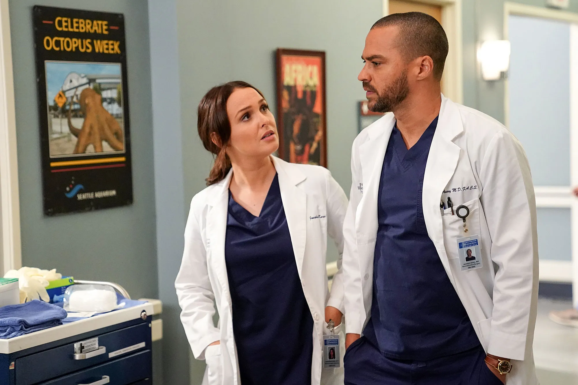 Camilla Luddington and Jesse Williams Grey's Anatomy