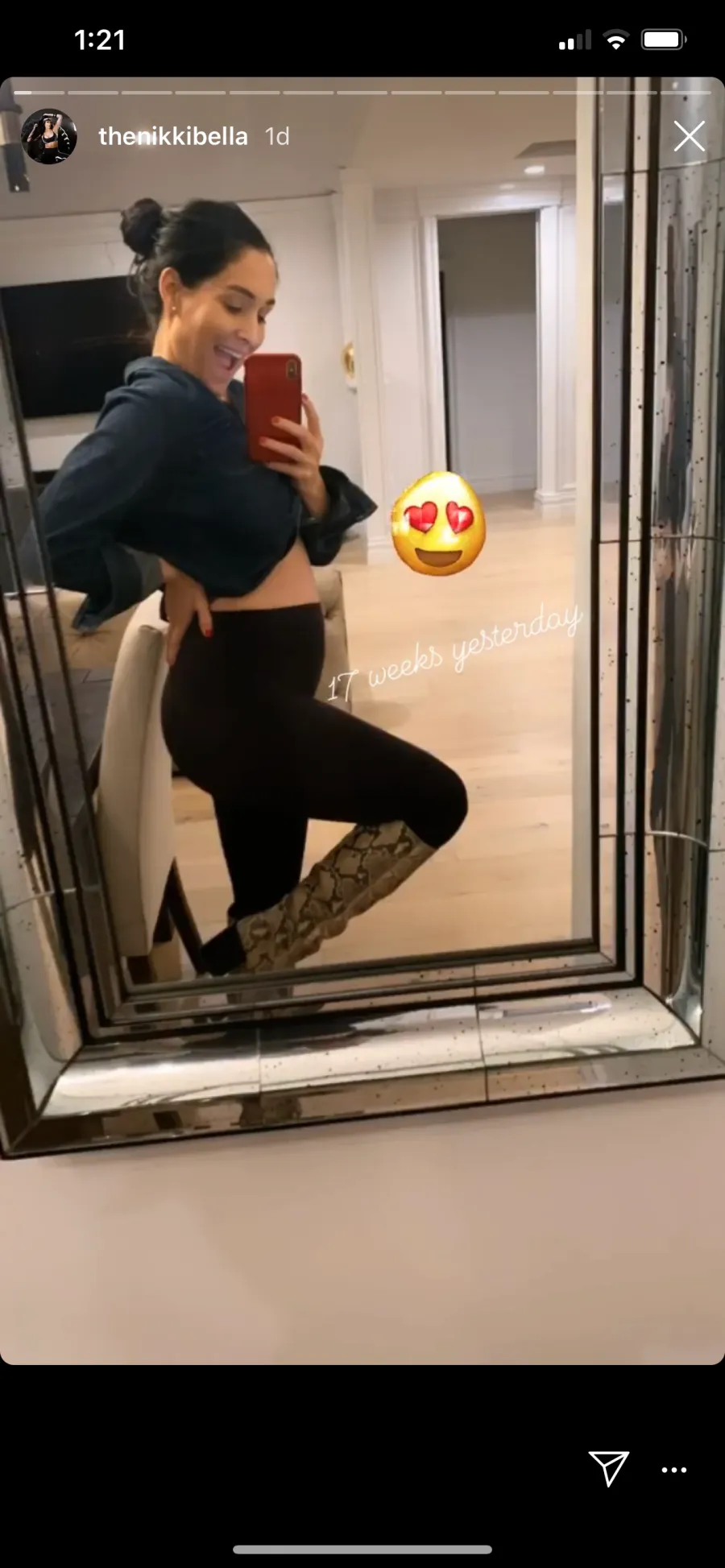 Nikki Bella and Brie Bella’s Baby Bump Album: See Pics From the Twin Sisters’ Pregnancies