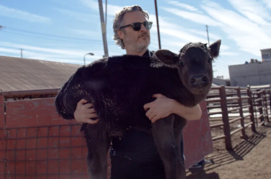 Joaquin Phoenix Rescues Cow Her Newborn Calf After Moving Oscars Speech
