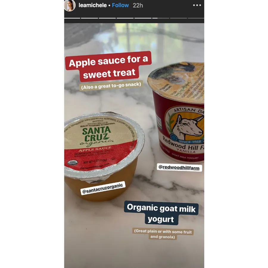 Peeking Inside Lea Michele Reveals Healthy Foods Her Fridge