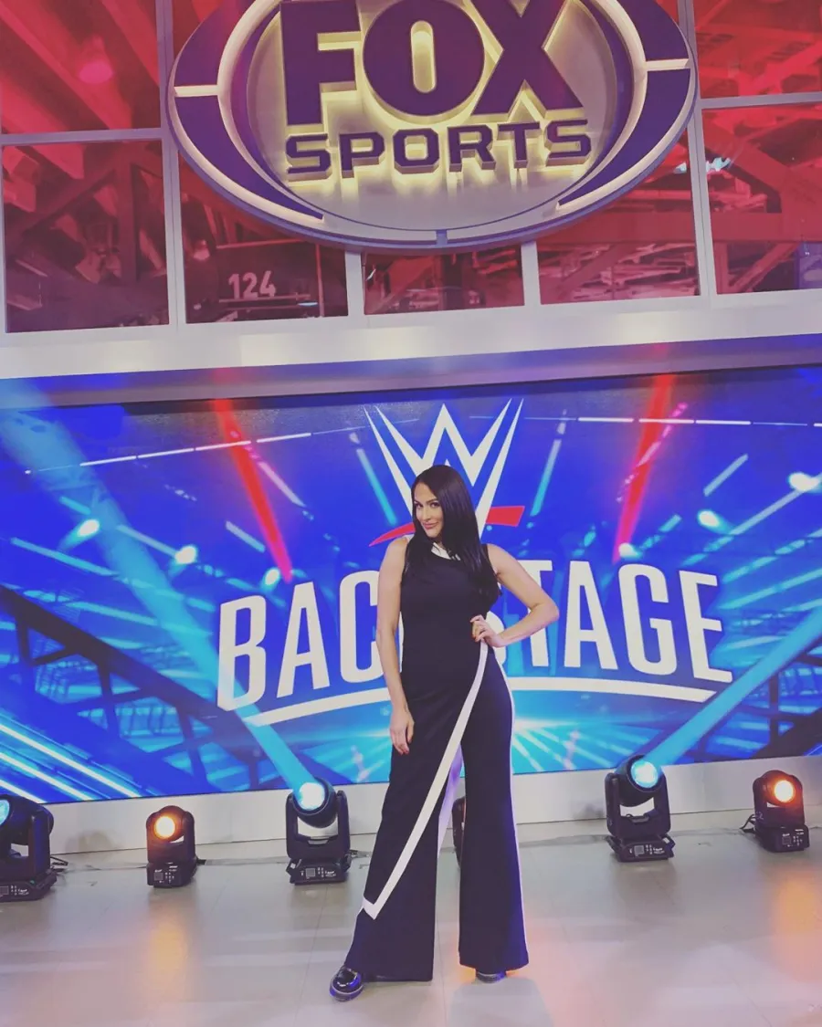 Nikki Bella and Brie Bella's Baby Bump Album-nikki