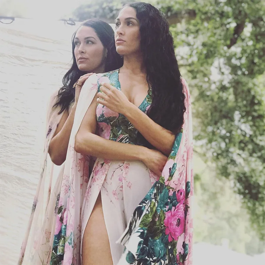 Nikki and Brie Bella's Baby Bump Album