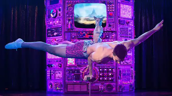 Buzzzz-o-Meter Opium Adults Only Vegas Show