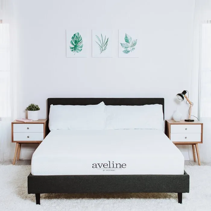 Ortiz 8 Plush Memory Foam Mattress