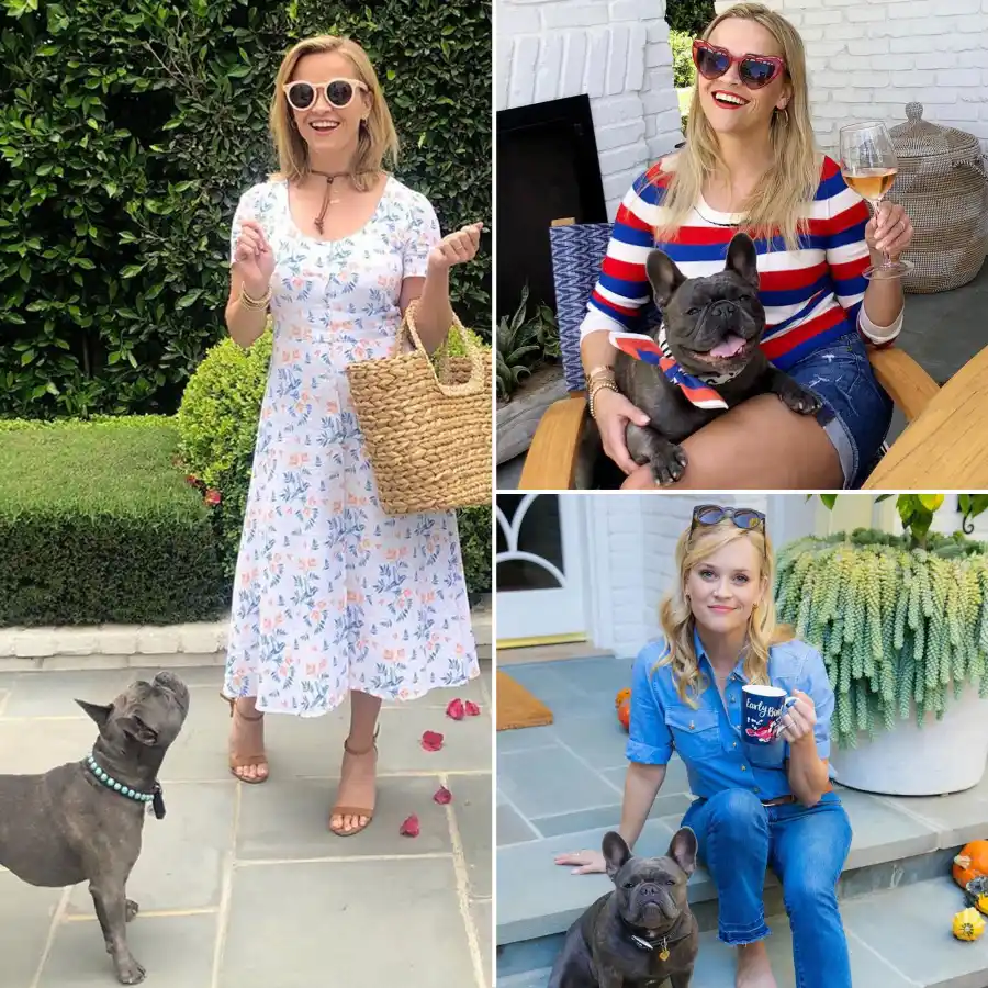 Reese Witherspoon’s Pupdates Are What Every Dog Lover Needs to See