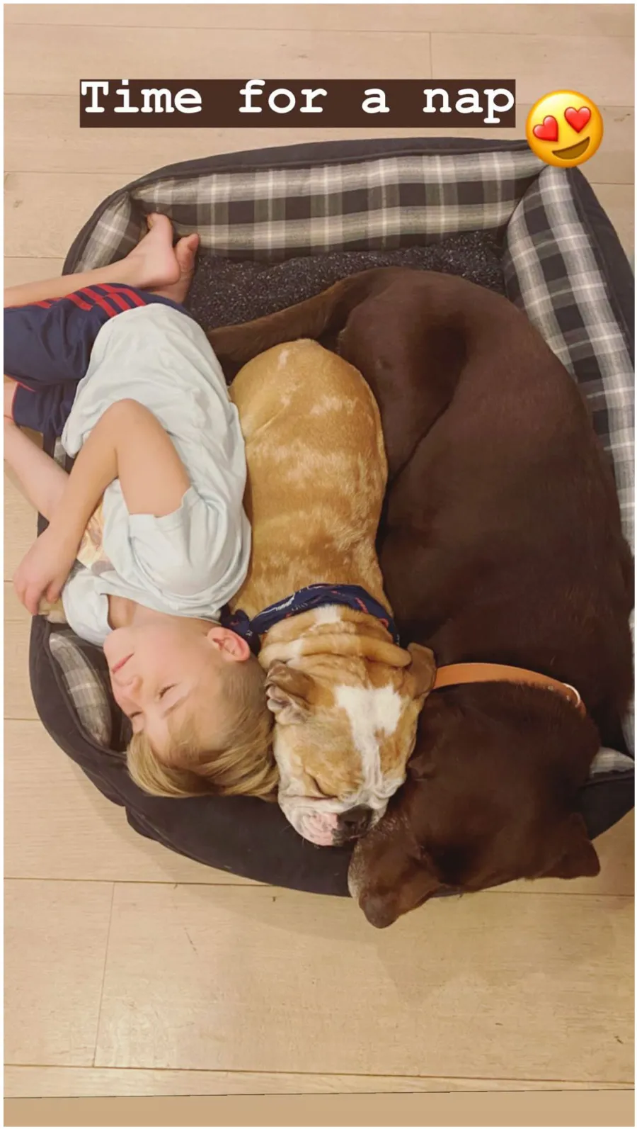 Reese Witherspoon’s Pupdates Nap Time