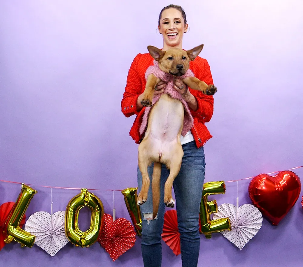 These Adoptable Pups Are Looking for a Valentine