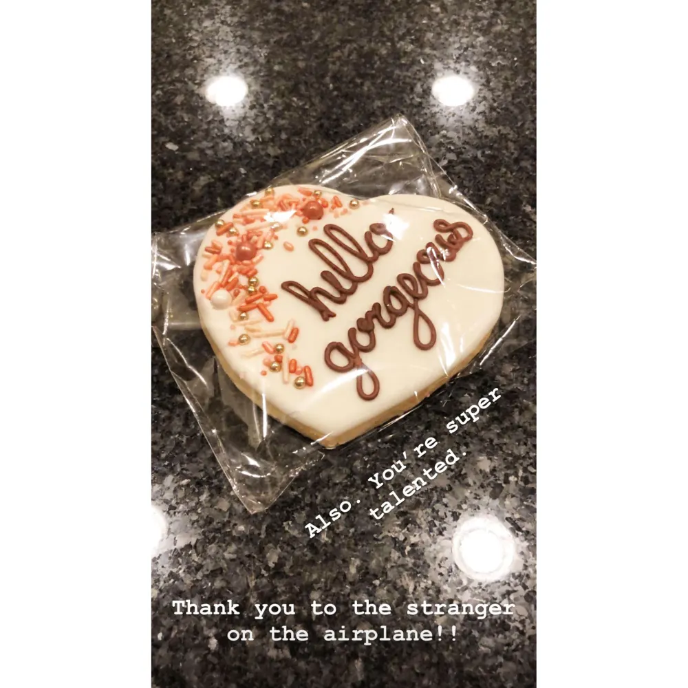 Tori Roloff Family Disneyland Trip cookie