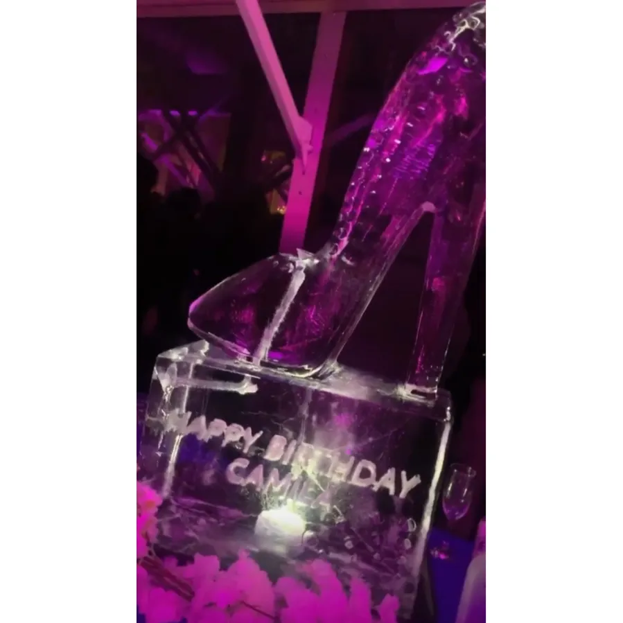 Camila-Cabello,-Shawn-Mendes-Celebrate-at-'Cinderella'-Birthday-Bash