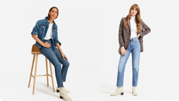 Everlane $50 Jeans Sale