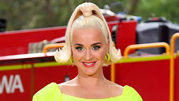 Everything Katy Perry Has Said About Her Pregnancy Cravings So Far