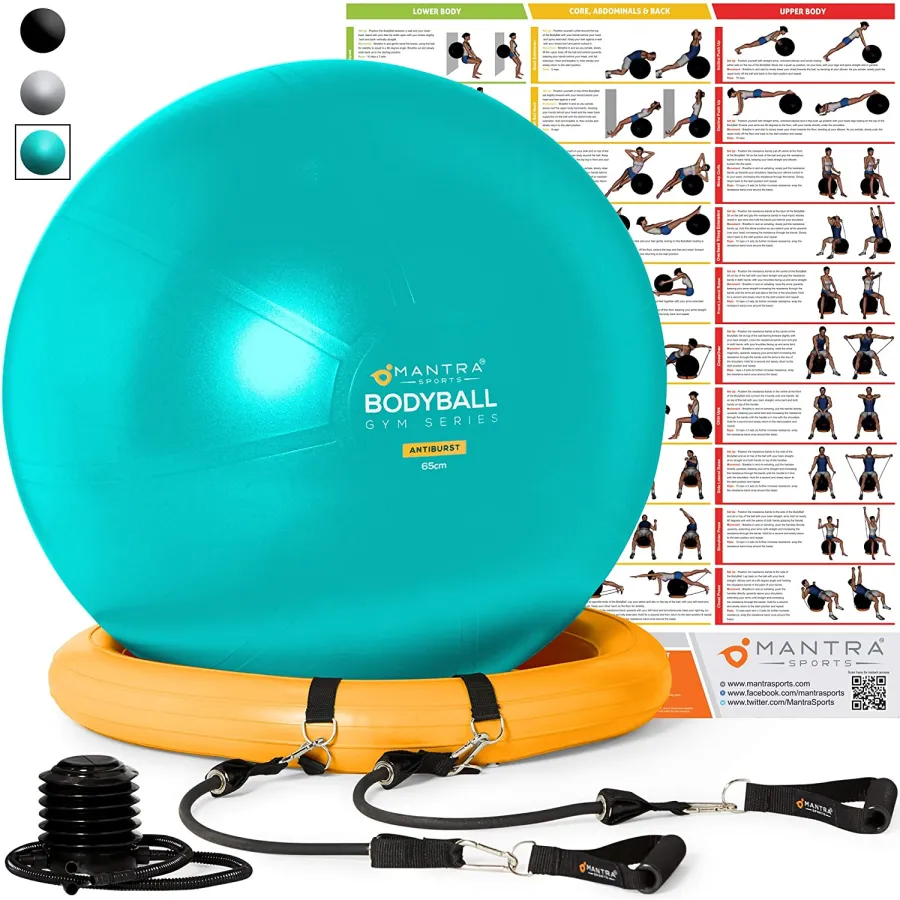 Exercise Ball Chair