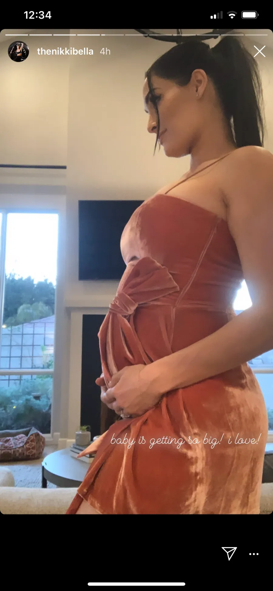 Nikki Bella and Brie Bella's Baby Bump Album: See Pics From the Twin Sisters' Pregnancies