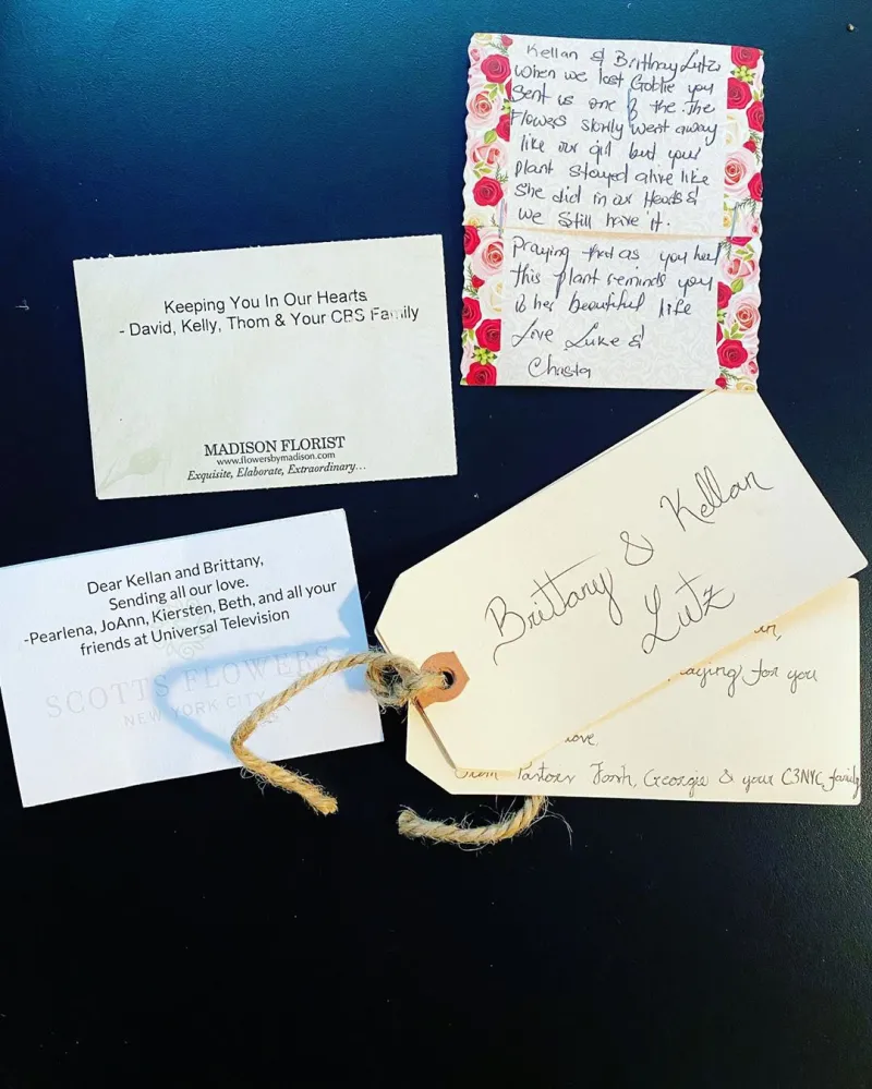 Kellan Lutz and Wife Brittany Can’t Wait to Try Again After Miscarriage Cards Sympathy Hallmark Florist