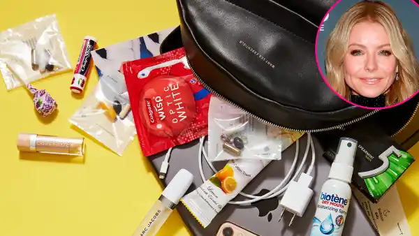 Kelly Ripa bag