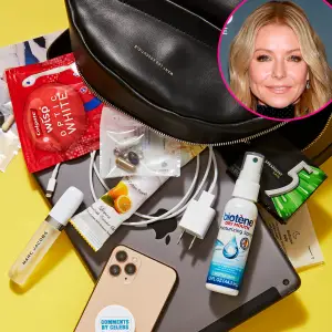 Kelly Ripa bag