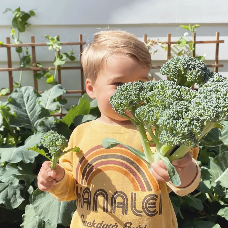 Lauren Conrad Parenting Quotes Liam