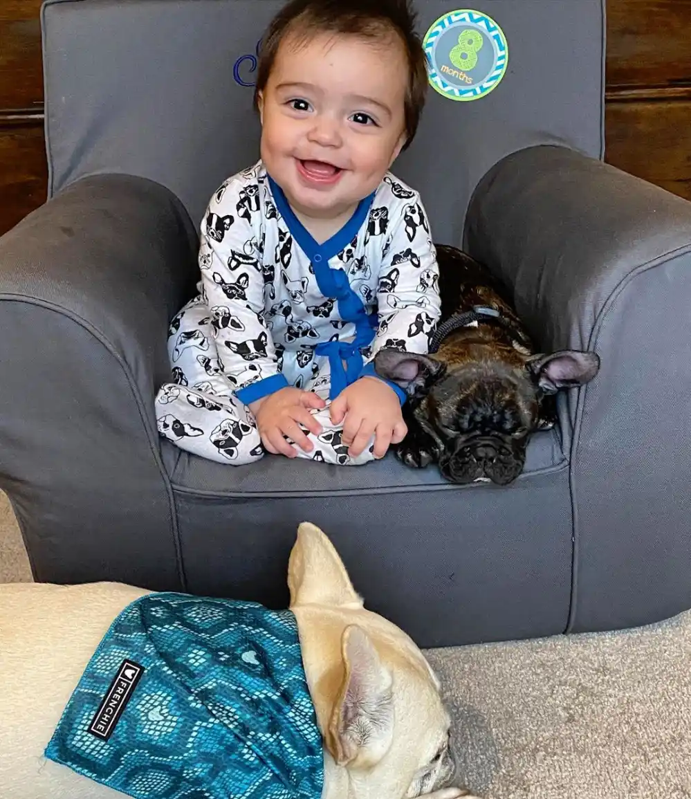 Mario Lopez New French Bulldog