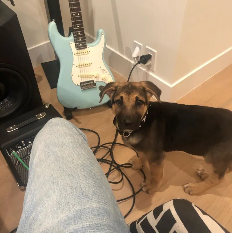 Miley Cyrus and Cody Simpson Introduce Fans to New Pup