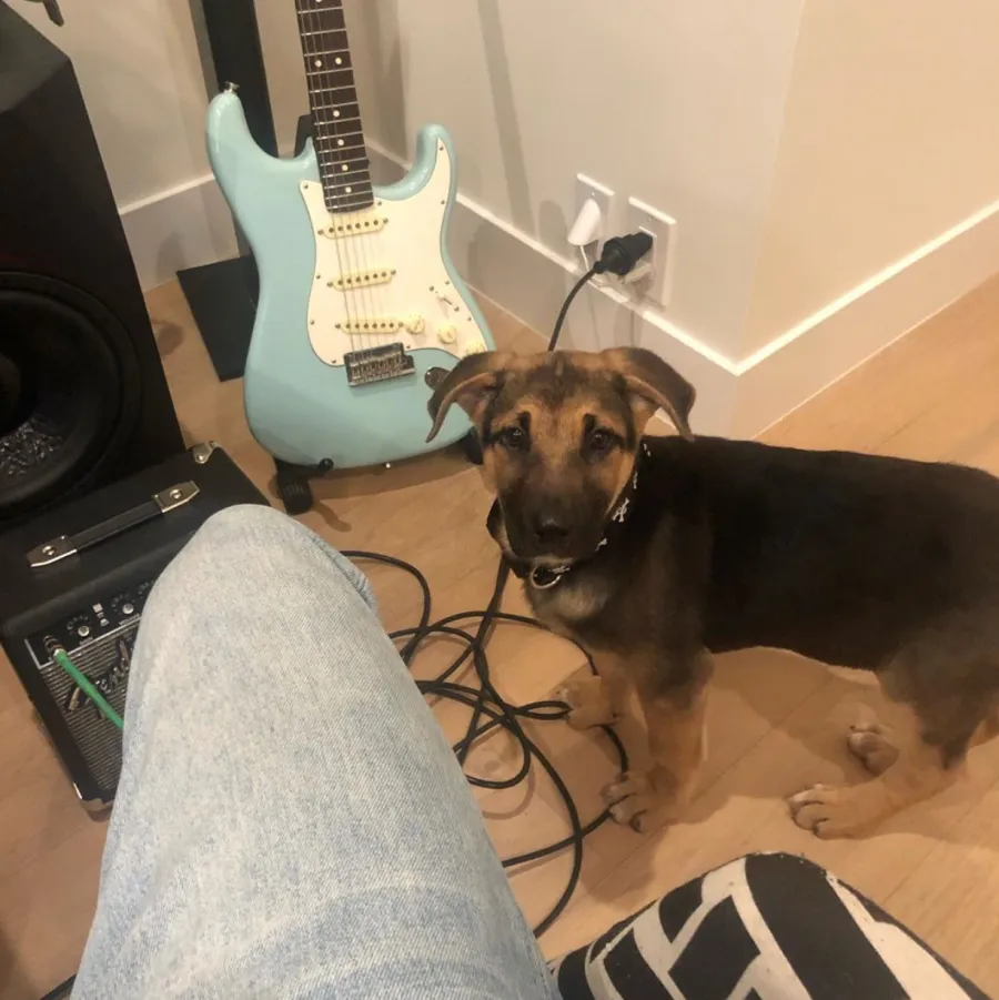 Miley Cyrus and Cody Simpson Introduce Fans to New Pup