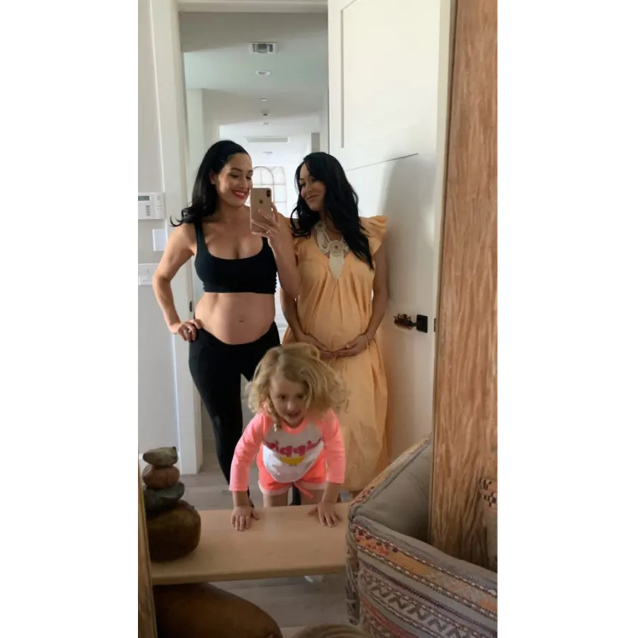 Nikki Brie Bella baby bump 2