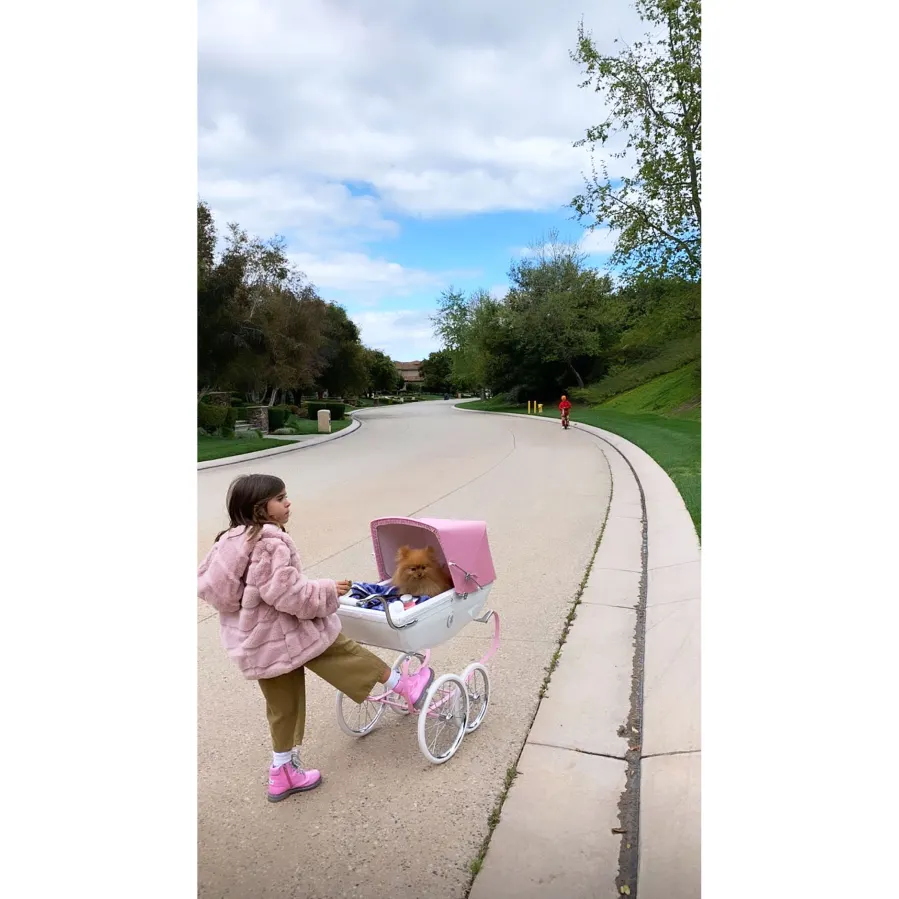 Penelope Disick Pushing Her Dog in a Stroller While Self-Quarantining