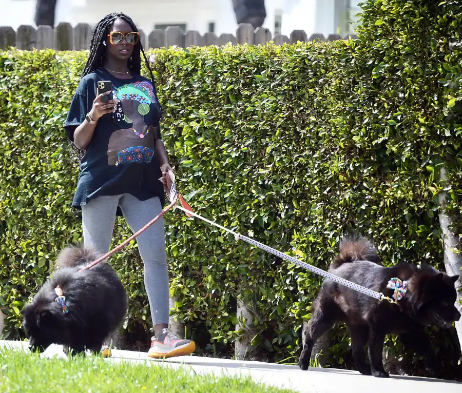 Pregnant Jodie Turner-Smith Walks Dog 2 Weeks Ahead Due Date