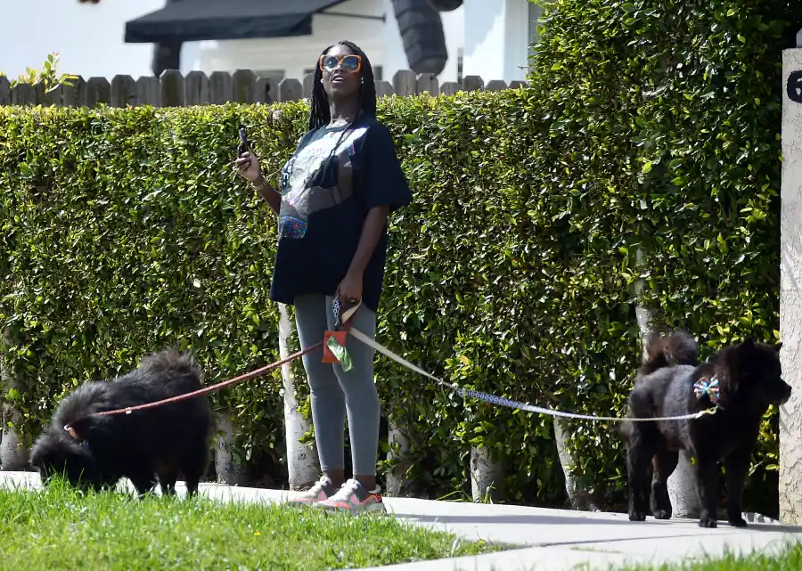 Pregnant Jodie Turner-Smith Walks Dog 2 Weeks Ahead Due Date