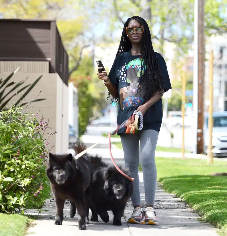 Pregnant Jodie Turner-Smith Walks Dog 2 Weeks Ahead Due Date