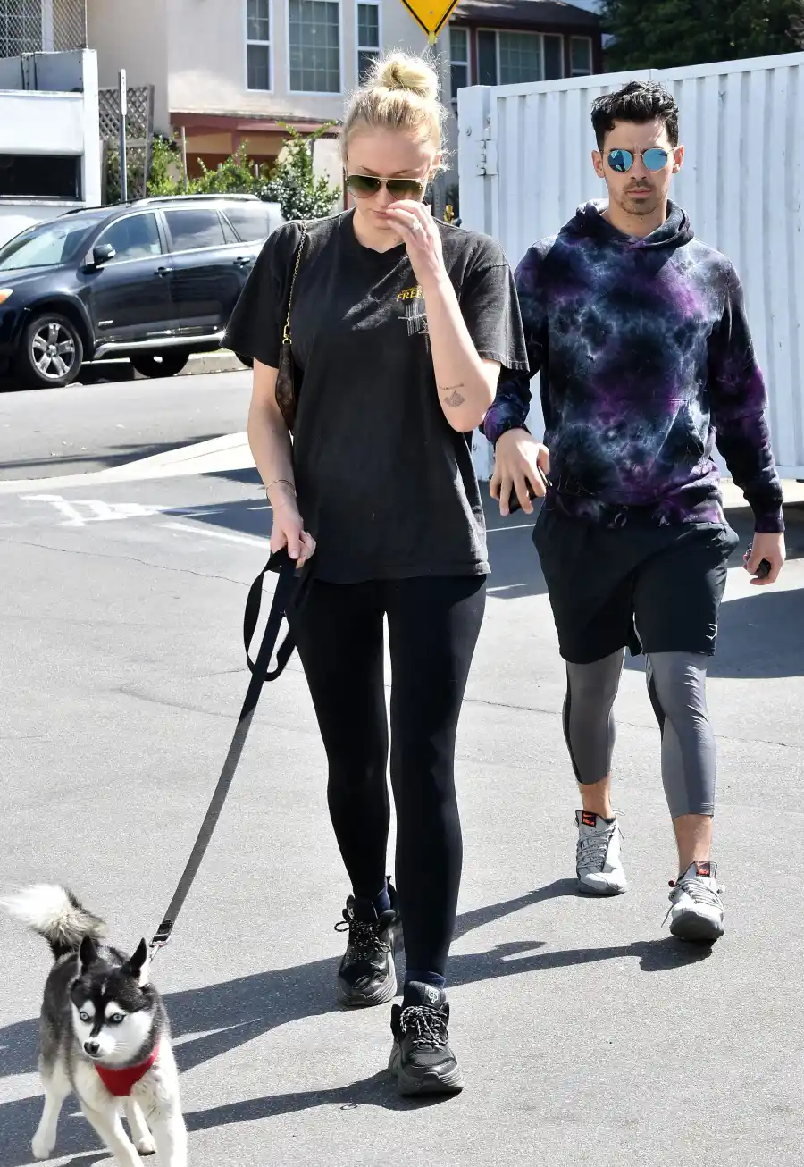 Pregnant Sophie Turner Covers Baby Bump With Puppy While Out With Joe Jonas