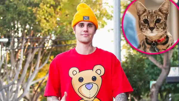 Sandra Lee Finds Justin Bieber’s Missing Cat Sushi 3 Weeks After It's Disappearance